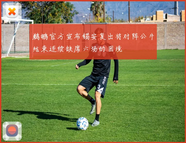 鹈鹕官方宣布锡安复出将对阵公牛结束连续缺席六场的困境